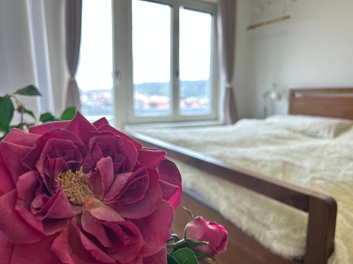 Cool Studio Apartment Praha Bagian luar foto